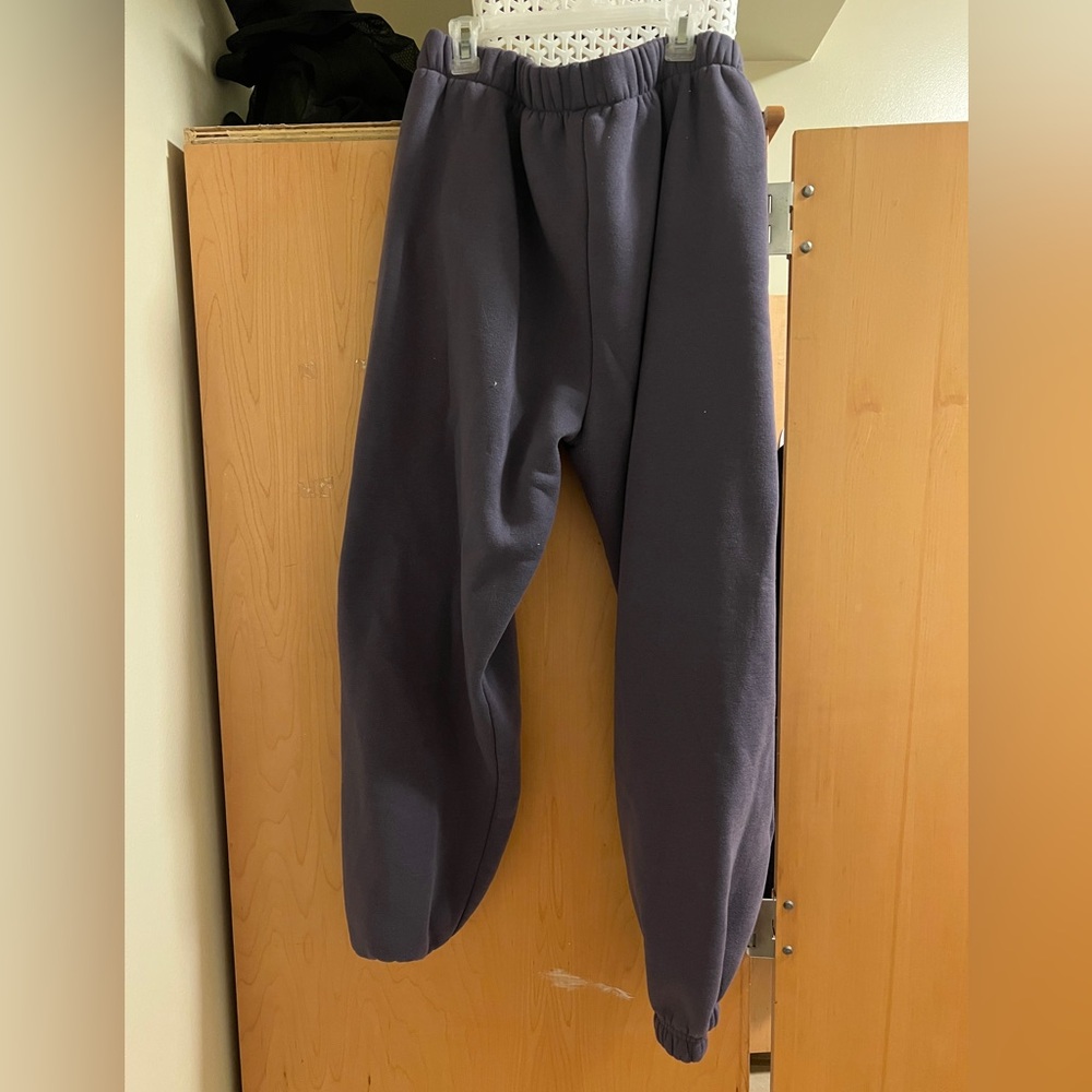 No Boundaries Purple Joggers Size Large